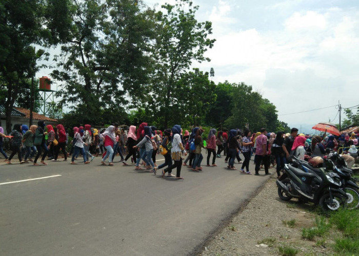 Majalengka Siapkan Kawasan Industri Baru di Sumberjaya, Ribuan Lapangan Kerja Menanti