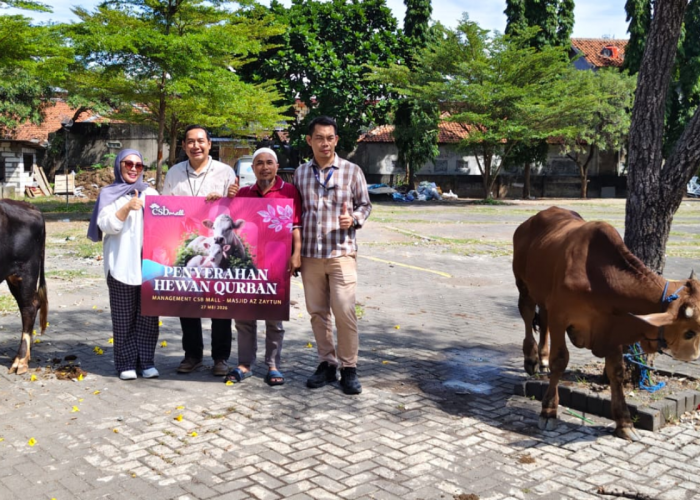 CSB Mall Bagikan Hewan Kurban di Momen Idul Adha, 2 Sapi untuk Warga Cirebon