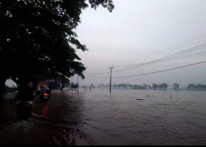 Banjir di Cirebon Pagi Ini Kamis 16 Januari 2025, Sungai Meluap Menutup Jalan Raya