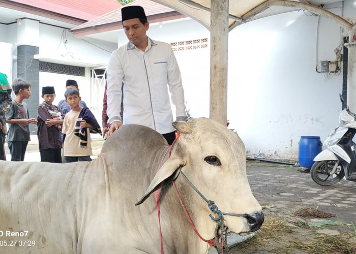 Bupati Lucky Hakim Terharu, Nilai Kurban Warga Indramayu Tembus Rp82,3 Miliar