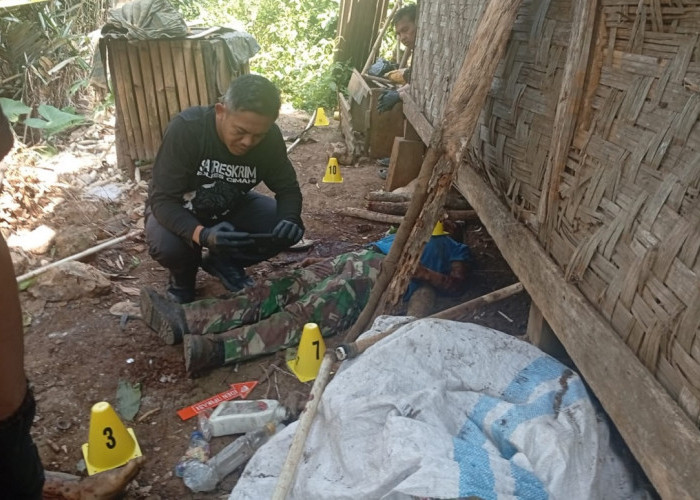 Beredar Info Macan Tutul Gunung Papandayan Garut Terkam Warga hingga Tewas, Cek Fakta!