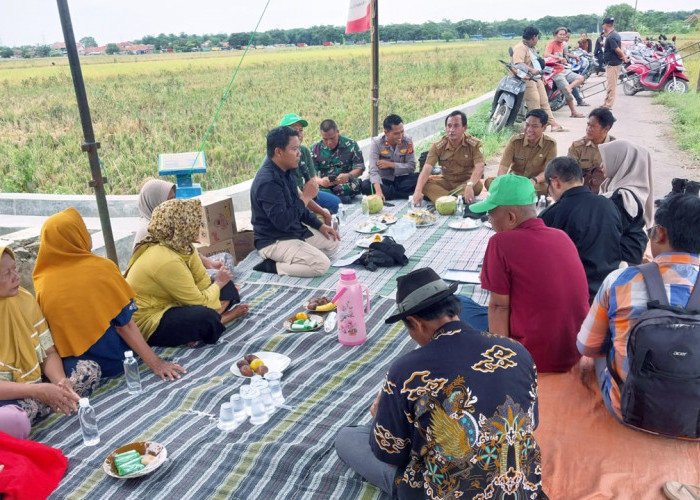 Pertanian Winong Target 145 Sawah Masuk MT3 di 2026