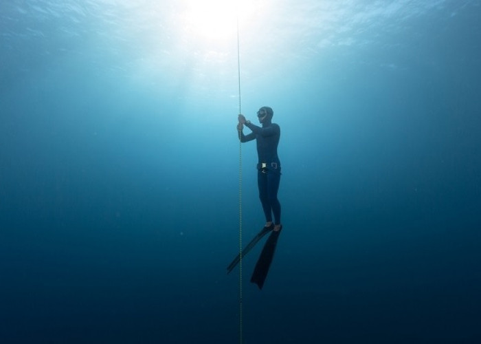 Menikmati Keindahan Alam Bawah Air Laut Lewat Olahraga Free Diving