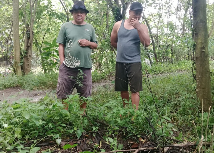 Warga Kertasemaya Indramayu Waswas, Bencana Banjir Mengancam Minta Hal Ini ke Pemerintah