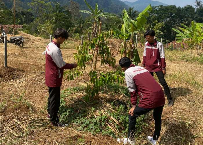 KKM UMC Cirebon Kawal Pembentukan Agrowisata Sentra Kebun Durian di Bunigeulis