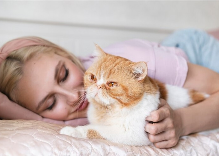 4 Bahaya Ini Akan Terjadi Apabia Anda Terlalu Sering Tidur Bersama Kucing Peliharaan Anda 
