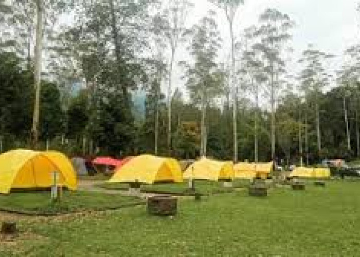 Mau Ngecamp pas Tahun Baru? Intip Harga dan Sewa Tenda Bumi Perkemahan Palutungan Kuningan Ini, Pas di Kantong