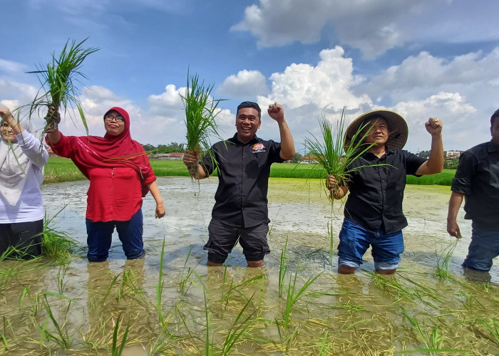 Satu Dekade MSP Indonesia: Dari Sawah ke Strategi, Meneguhkan Kedaulatan Pangan sebagai Pertahanan Bangsa