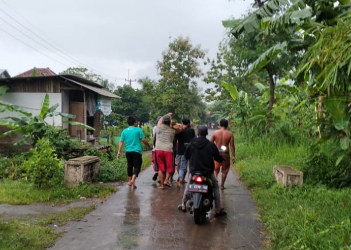 Petani di Japura Bakti Cirebon Tersambar Petir saat di Sawah, Langsung Meninggal Dunia