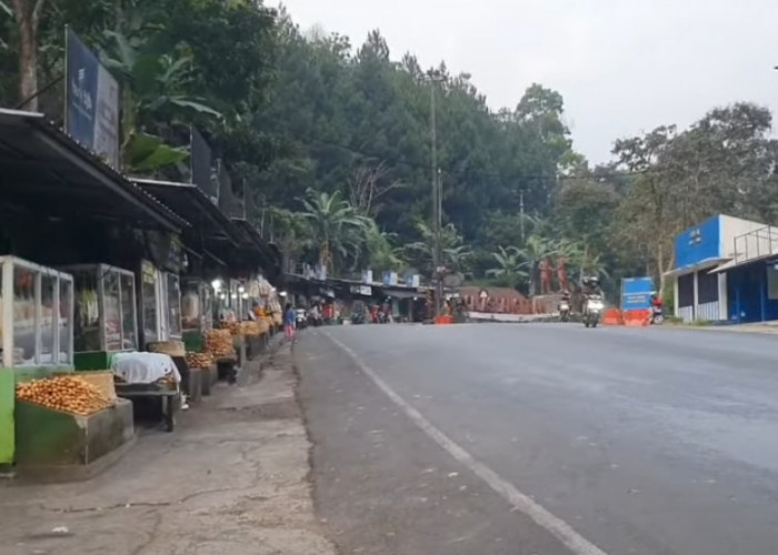 Pedagang Ubi Cilembu Jalur Sumedang Bakal Direlokasi ke Rest Area Tol Cisumdawu