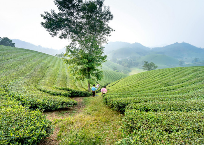 Itinerary 2 Hari 1 Malam Keliling Wisata Majalengka Lengkap dengan Biayanya! Bisa Kemana Aja Ya?