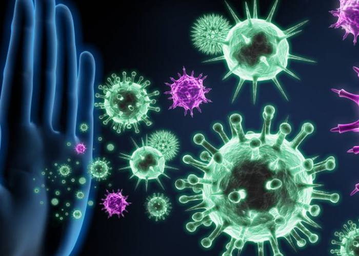 5 Cara Meningkatkan Imun Tubuh, Cara Efektif Melawan Penyakit yang Datang