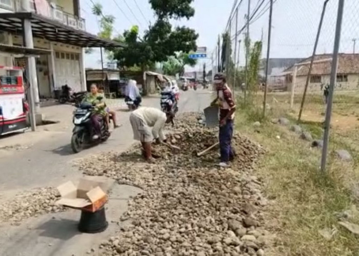 Warga Banjarwangunan Mundu Swadaya Perbaiki Jalan Rusak, Kuwu: Sering Terjadi Lakalantas