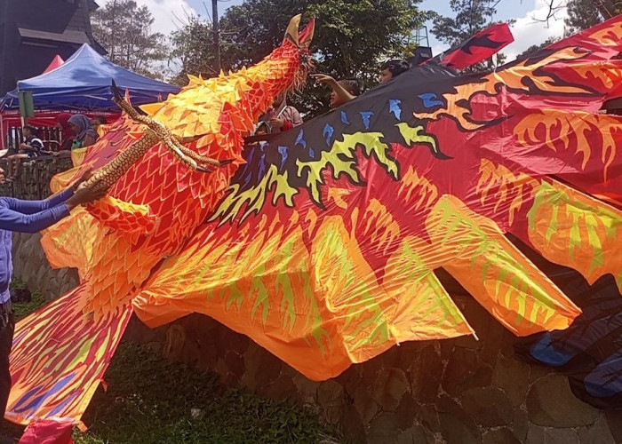 Diterbangkan 12 Orang, Ini Dia Penampakan Layang-layang Burung Phoenix di Waduk Darma Kuningan