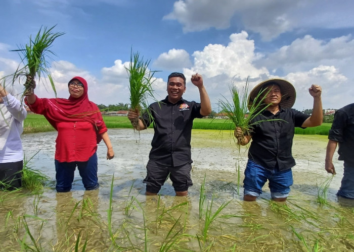 10 Tahun MSP: Saatnya Petani Jadi Garda Depan Kedaulatan Pangan Indonesia