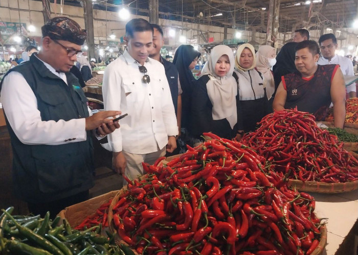 Harga Cabai di Pasar Jagasatru Cirebon Naik Akibat Cuaca, Berpotensi Kembali Merangkak Jelang Ramadan
