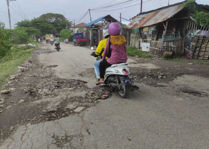 Pengusaha Keluhkan Jalan Rusak dan Berlubang, Minta Perbaikan