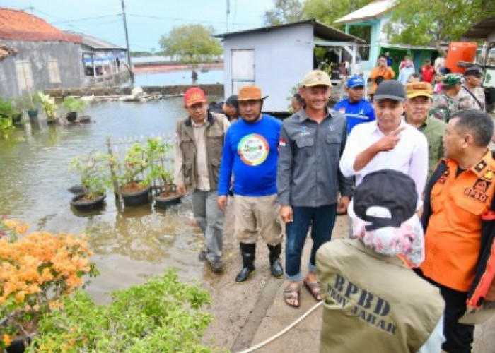 Bey Machmudin Tinjau Banjir Rob Subang, Bahas Pembangunan Tanggul Darurat