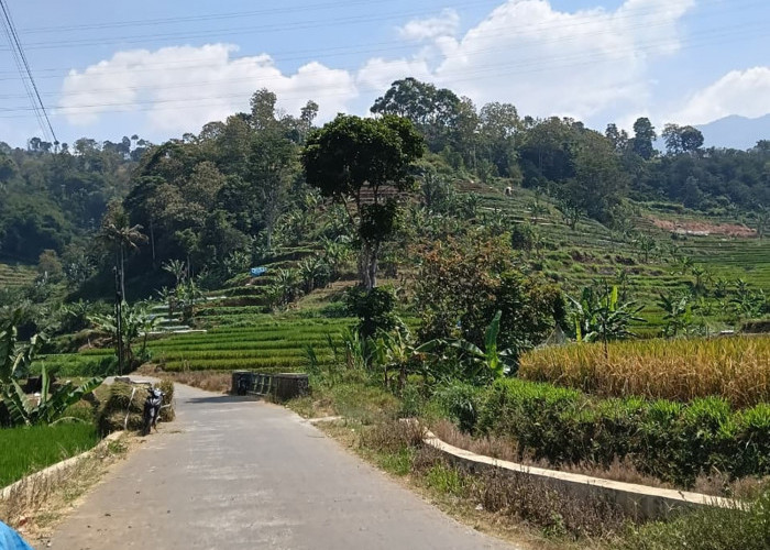 Bukan Lembang, Ini 5 Kecamatan di Kuningan yang Punya Udara Paling Dingin, Suhu Bisa 16 Derajat Celsius