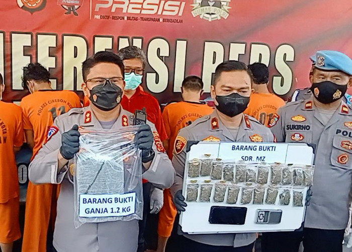 Pengedar Ganja di Depok Cirebon Kirim Paket ke Lemahwungkuk, Barang Buktinya Wow Banyak Banget