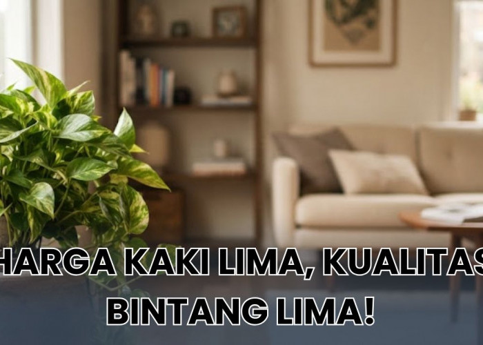 7 Tanaman Hias Mewah dengan Harga Murah Ini Bisa Percantik Setiap Sudut di Rumah Kamu, Dijamin Ramah Pemula!