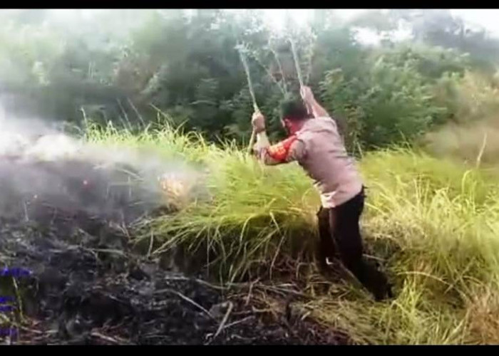 Kebakaran Lahan di Gronggong Kabupaten Cirebon, Kapolsek Beber Sempat Terjatuh saat Pemadaman