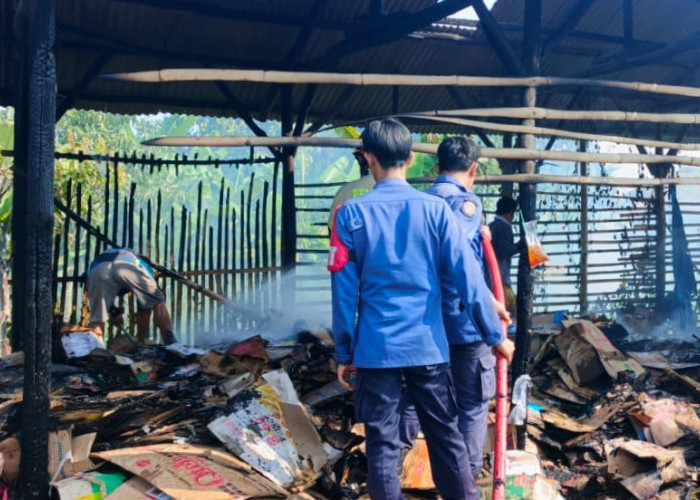 Gudang Kardus di Tortoran Terbakar Diduga Akibat Puntung Rokok
