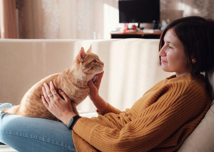 6 Cara Kucing Berterima Kasih Kepada Majikanya