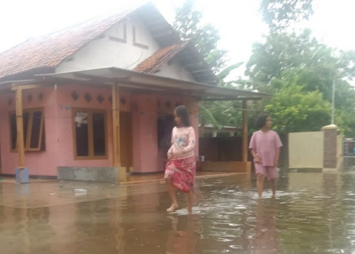 Permukiman Warga di Blok Centeng Desa Dermayu Terendam Banjir,  Akibat Drainase Buruk dan Curah Hujan Tinggi