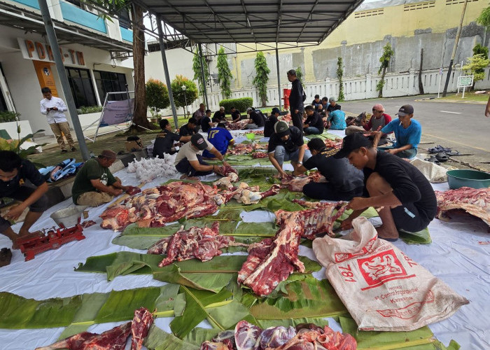 PLN UP3 Cirebon Laksanakan Ibadah Qurban: Wujud Syukur, Kepedulian, Toleransi Sosial di Hari Raya Idul Adha