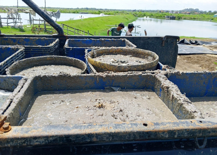 Timbulkan Bau Busuk, Warga Kalisapu Gunung Jati Tolak Keberadaan Tempat Pengolahan Pakan Ternak
