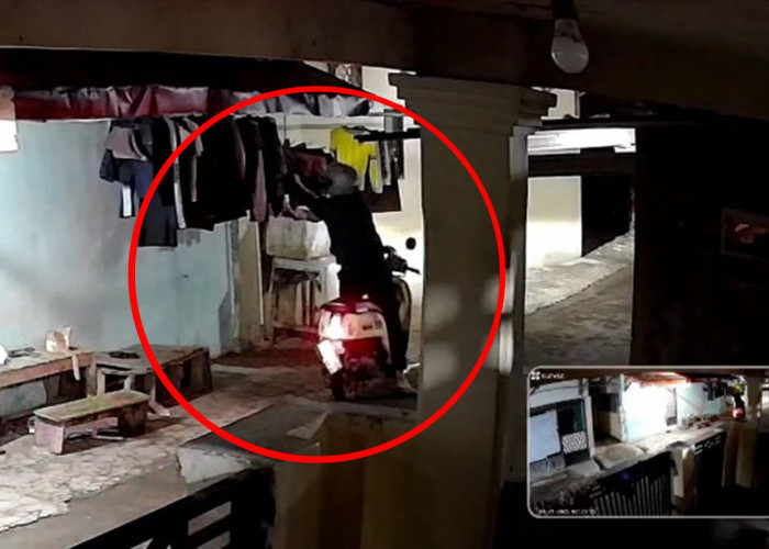 Pencurian Pakaian Dalam Wanita di Kabupaten Cirebon, Terindikasi Parafilia, Apa Itu?