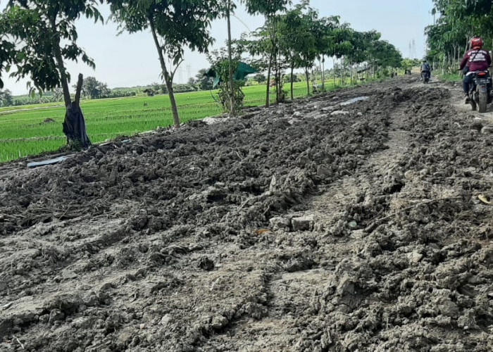 Akibat Jalan Menuju TPAS Kubangdeleng Rusak dan Berlumpur, Angkutan Sampah Dialihkan ke Lokasi Ini 