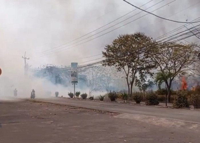 Lahan Semak Seluas 1 Hektare di Pamengkang Cirebon Terbakar, Diduga Berawal dari Pembakaran Sampah