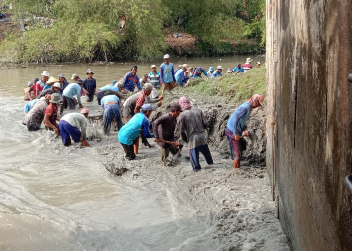 Bersihkan Endapan Lumpur, Ratusan Petani Turun ke Sungai Jamblang