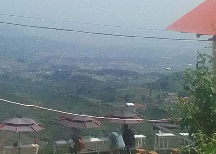 Terasering Panyaweuyan, Wisata di Majalengka yang Menawarkan Hijau  Tanaman yang Indah!