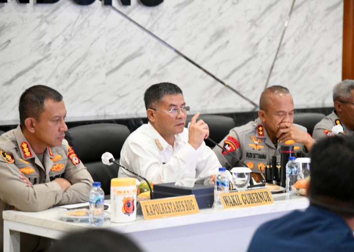 Tak Punya Tiket Jangan Nekat! Wagub Jabar Imbau Bobotoh Nobar Saat Persib vs Persija