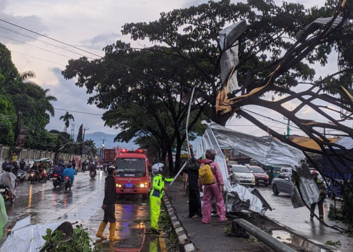 Angin Puting Beliung Terjang Sumedang, Jalan Bandung-Garut Terhalang Pohon Tumbang