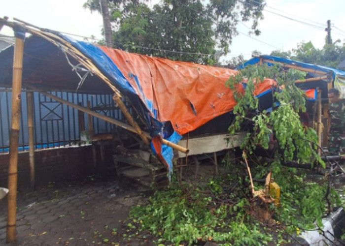 Akibat Pengemudi Ngantuk, Mobil Tabrak Warung Nasi, Begini Kondisinya 