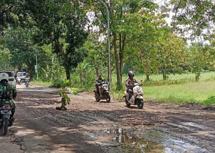 Sering Sebabkan Kendaraan Terperosok, Jalan Sindanglaut–Ciawigajah Akan Segera Diperbaiki