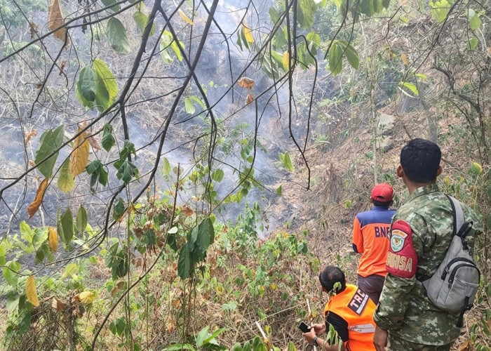 Kebakaran Hutan Gunung Nawa Cipanas Berhasil Dipadamkan, BPBD Tegaskan Bukan Imbas Gunung Ciremai