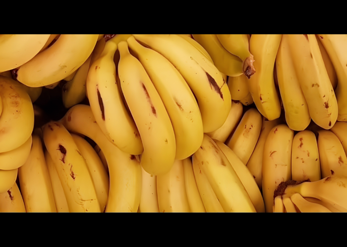Sebelum Cavendish, Pisang Ini Sudah jadi Primadona  Dunia, Tumbang karena Jamur