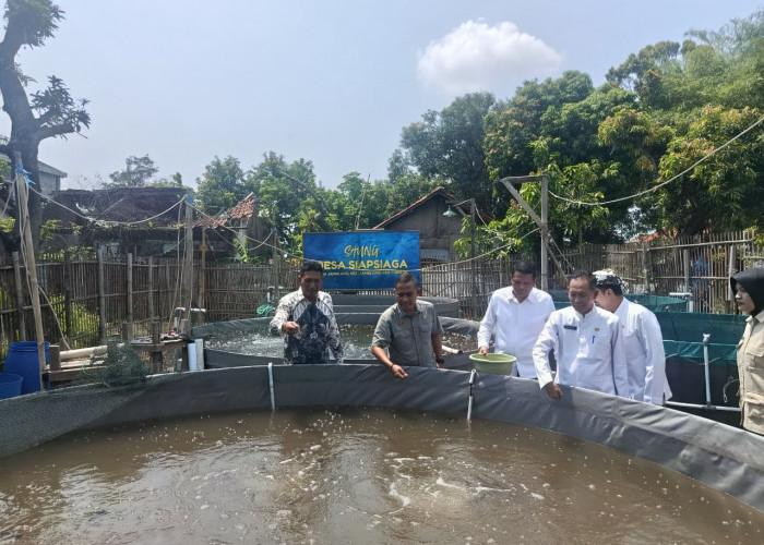 Delapan Desa Siaga di Cirebon Bertransformasi, Bioflok Lele Jadi Senjata Baru Cegah Radikalisme