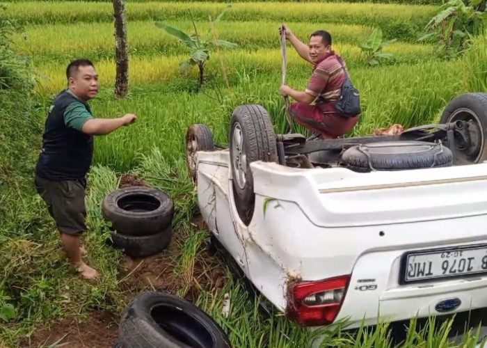 Ikuti Google Maps, Mobil Warga Jakarta Kecelakaan di Desa Puncak Kuningan, Masuk ke Sawah