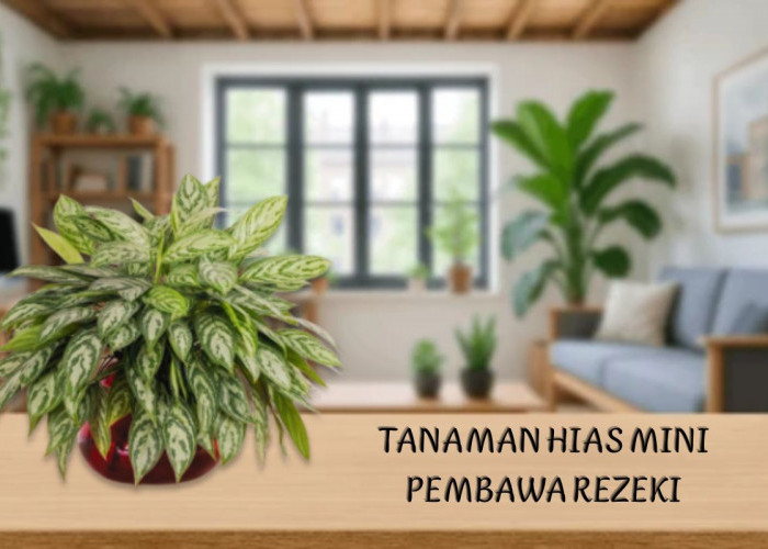 Ukurannya Mini! 5 Tanaman Hias Kecil Ini Dipercaya Pembawa Rezeki dan Cocok Ditaruh di Dalam Rumah