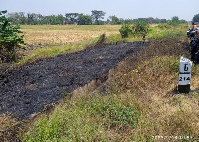 KAI Daop 3 Cirebon Menghimbau Masyarakat untuk Tidak Membakar Sampah di Sekitar Jalur Kereta Api