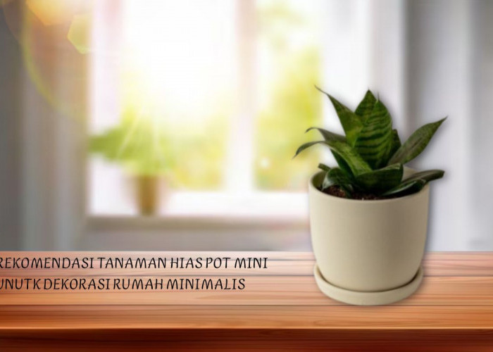 Punya Rumah Sempit? 5 Tanaman Hias Pot Kecil Ini Mudah Dirawat dan Tak Makan Banyak Tempat