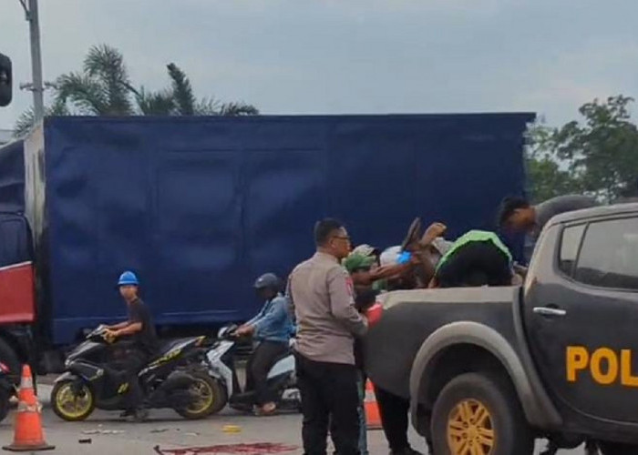 Kecelakaan Maut di Pantura Cirebon, Pemotor 22 Tahun Tewas Usai Terobos Lampu Merah