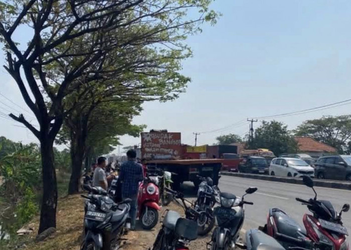 Kecelakaan di Pantura Indramayu Hari Ini, Truk Tabrak Pikap, Korban Meninggal Dunia