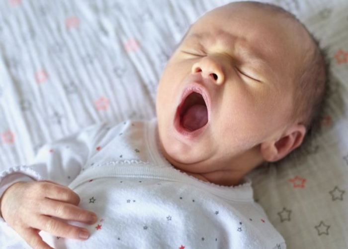 Nasib Bayi Baru Lahir di Indonesia, Harus Tanggung Utang Rp 28 Juta, Bagaimana Ceritanya?